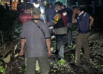 Akses Jalan Caringin Terganggu Akibat Pohon Tumbang