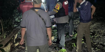 Akses Jalan Caringin Terganggu Akibat Pohon Tumbang 