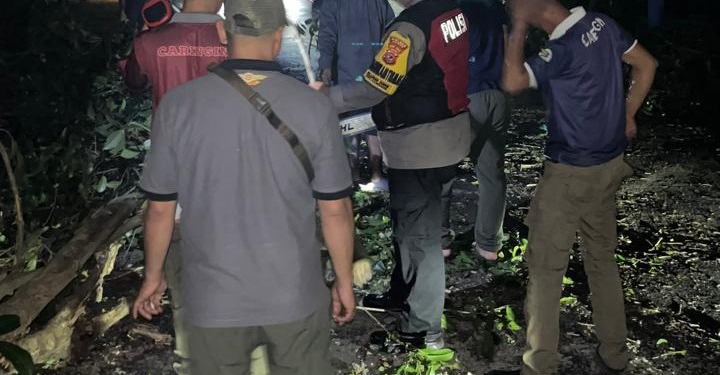Akses Jalan Caringin Terganggu Akibat Pohon Tumbang 